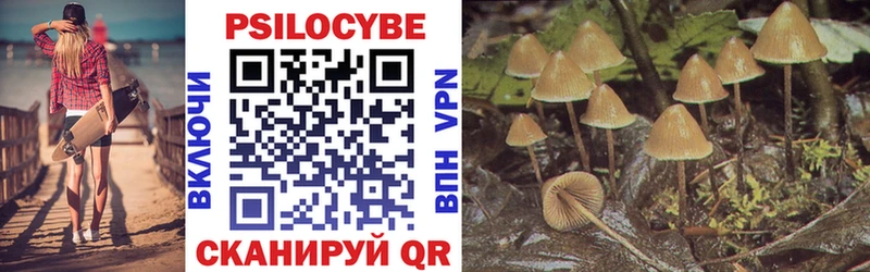 Псилоцибиновые грибы мицелий  Купить где  Кузнецк 